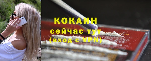 не бодяженный Заводоуковск