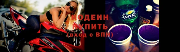 не бодяженный Заводоуковск