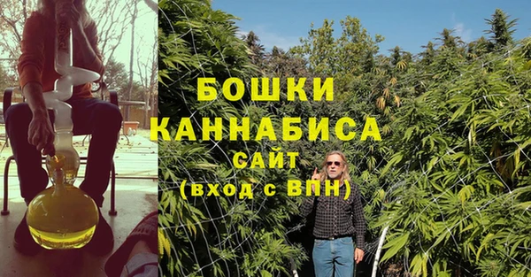 не бодяженный Заводоуковск