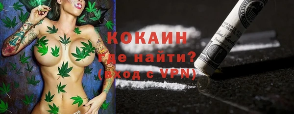 не бодяженный Заводоуковск